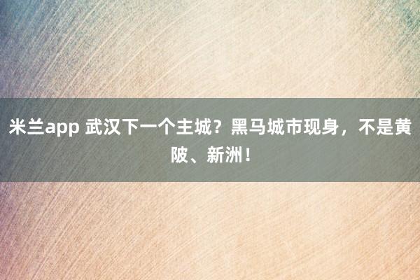 米兰app 武汉下一个主城？黑马城市现身，不是黄陂、新洲！