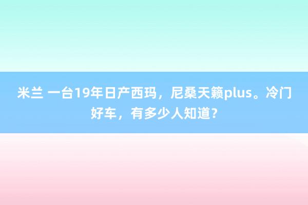 米兰 一台19年日产西玛，尼桑天籁plus。冷门好车，有多少人知道？