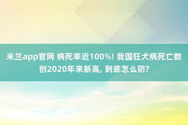 米兰app官网 病死率近100%! 我国狂犬病死亡数创2020年来新高, 到底怎么防?